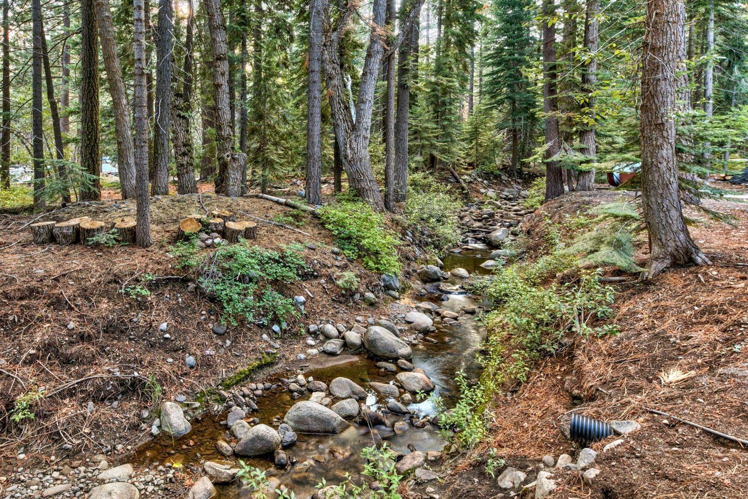Donner Lake Inn B&B Truckee Eksteriør bilde